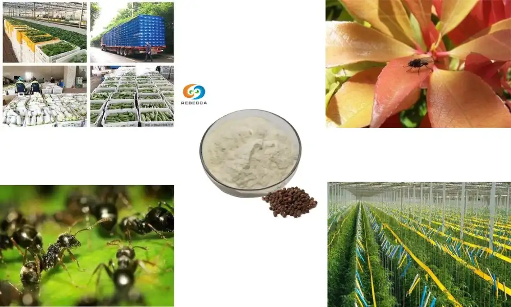 Piperine Repellent Effect on Insects